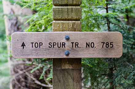 Sign post for trail 785 Top Spur Trail, a Nature Photo by Zigzag Mountain Art