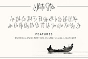 White Star - Chic Handwritten Font, a Script Font by din-studio.com (Thumbnail 3 of 8)