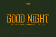 Startrail Futuristic Retro Family, a Serif Font by Lettertype Studio (Thumbnail 15 of 15)