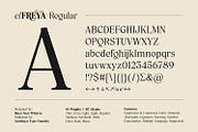 Elfreya - Elegant Branding Font, a Serif Font by Asenbayu (Thumbnail 10 of 15)