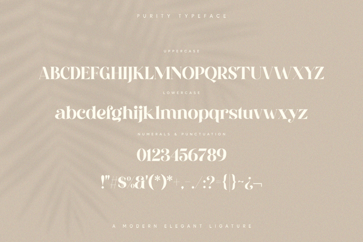 Purity - Modern Ligature Font, a Serif Font by TypeFounder (Photo 11 of 11)