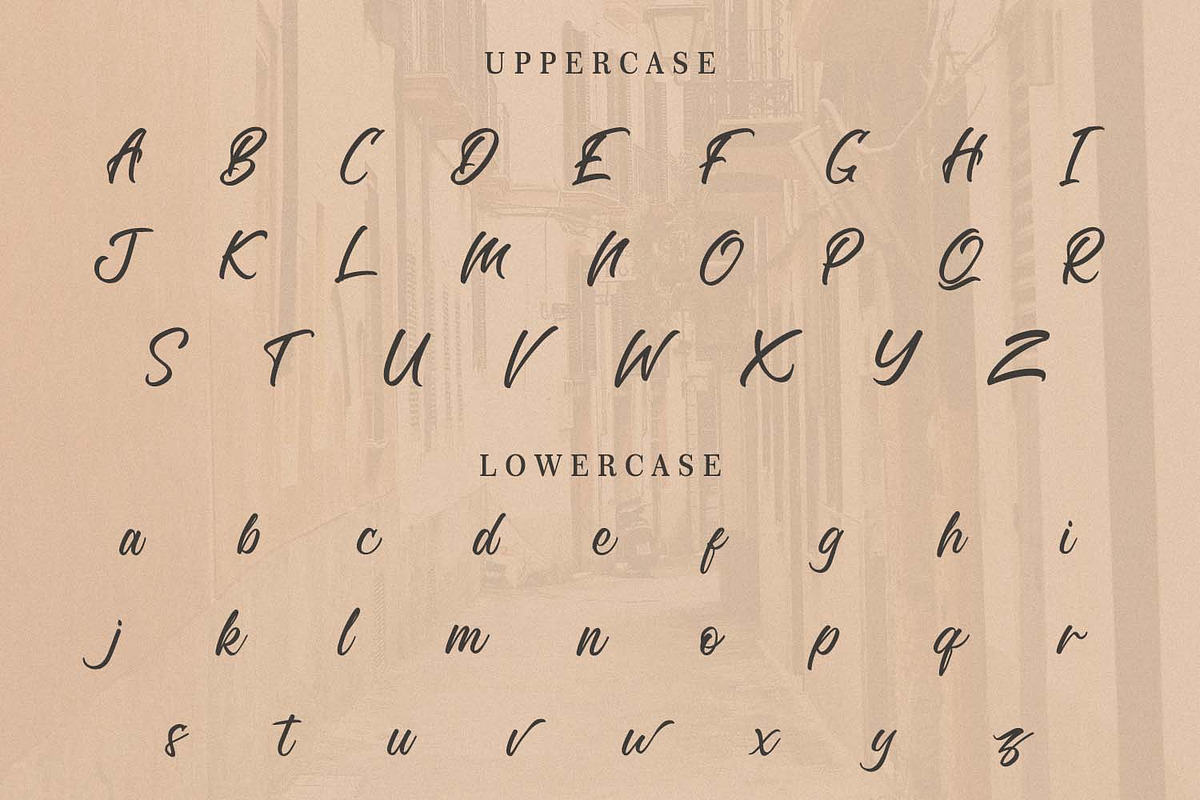 Richard Benoitt - Modern Script Font, a Script Font by Pollux of Geminorum (Photo 3 of 10)