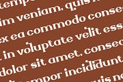 Zellique - Modern Serif Font, a Serif Font by Rishsketch (Thumbnail 8 of 15)