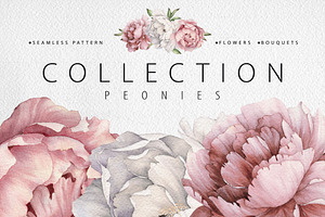 PEONY COLLECTION, a Decorative Illustration by ollalya