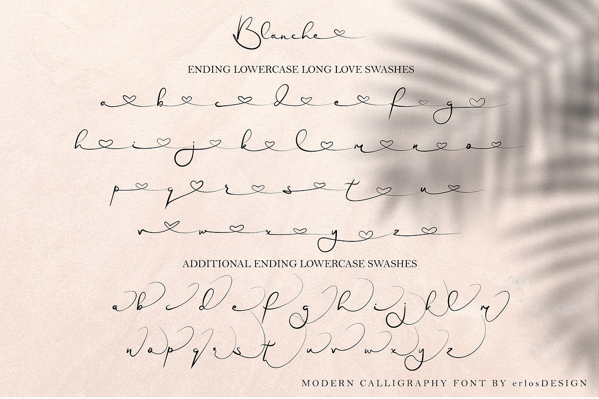 Blanche - Signature Font, a Script Font by erlosDESIGN (Photo 13 of 15)