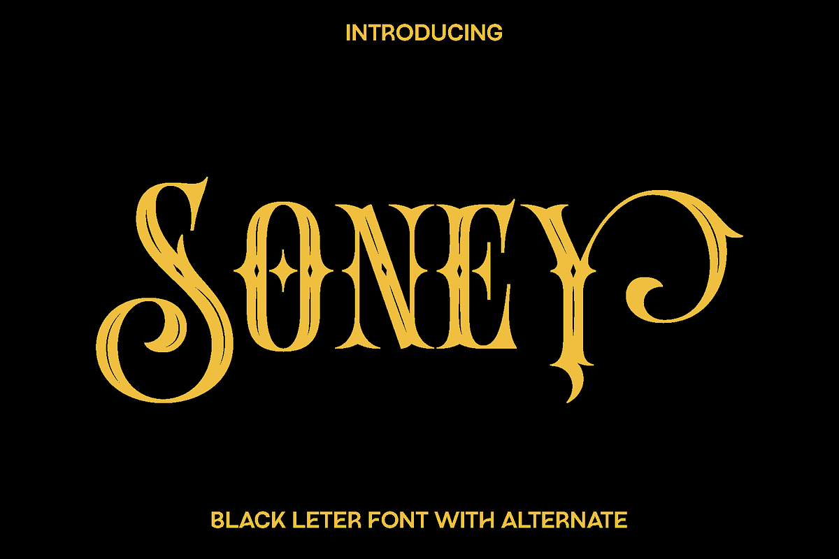 Soney - Blackletter with Alternate, a Blackletter Font by Luna Shop (Photo 1 of 6)