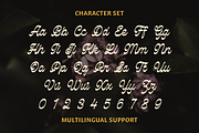 Royalter Script, a Script Font by Abbasy Studio (Thumbnail 3 of 10)