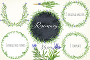 Rosemary. Watercolor clip art., a Decorative Illustration by LABFcreations (Thumbnail 1 of 5)