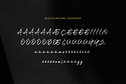 Luxery Classy Handwritten Font, a Script Font by Prestigetype (Thumbnail 13 of 13)