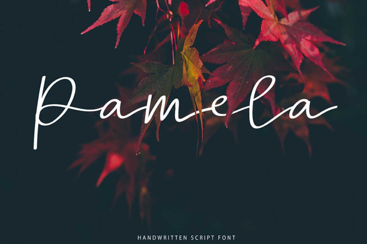 Handwritten Font Bundle preview 5