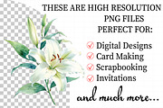 Floral Watercolor Set, Flowers, Leav, an Illustration by Daily.Designs (Thumbnail 2 of 7)