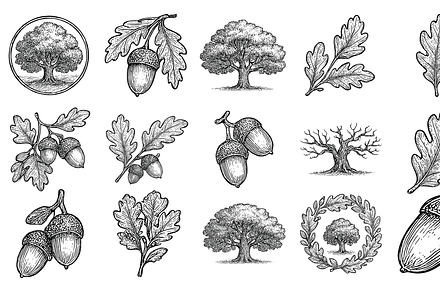 Hand Drawn Oak Tree Set, an Object Graphic by Sempu