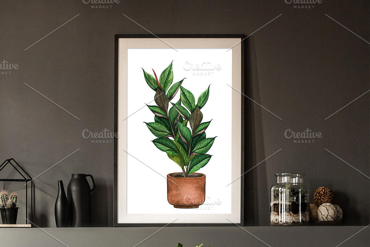 Potted Plants Watercolor clipart, an Object Illustration by BarvArt (Photo 5 of 8)