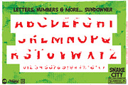 Snake City - Layered Font, a Script Font by Remedy667 (Thumbnail 8 of 9)