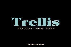 Trellis//Typeface Bold Serif