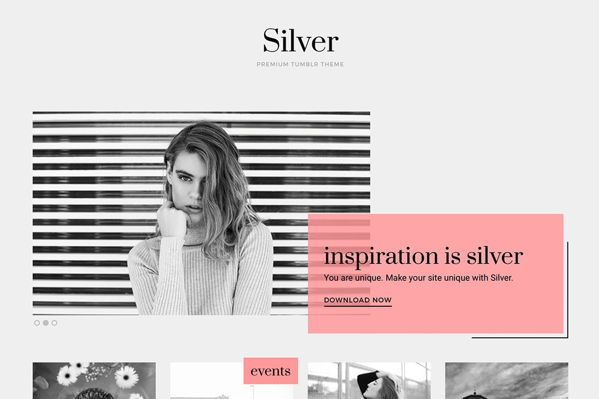 Silver Tumblr Theme, a Websites & App Template by Themelantic (Photo 1 of 5)