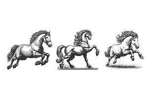 powerful running horses engraving, an Animal Illustration by AlexArt