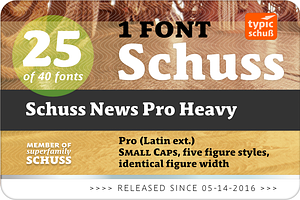 SchussNewsProHeavy No.25 1 Font