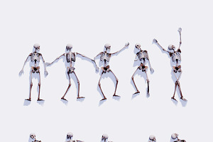 Low Poly Human Skeleton 40 Poses