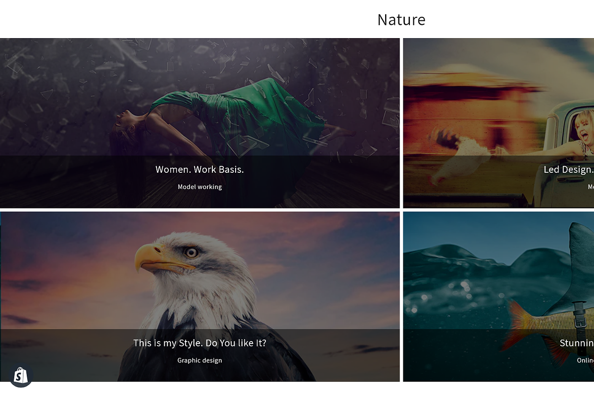 ThePiC -Shopify Fashion Theme, a Shopify Template by inSTUDIO43 (Photo 6 of 15)