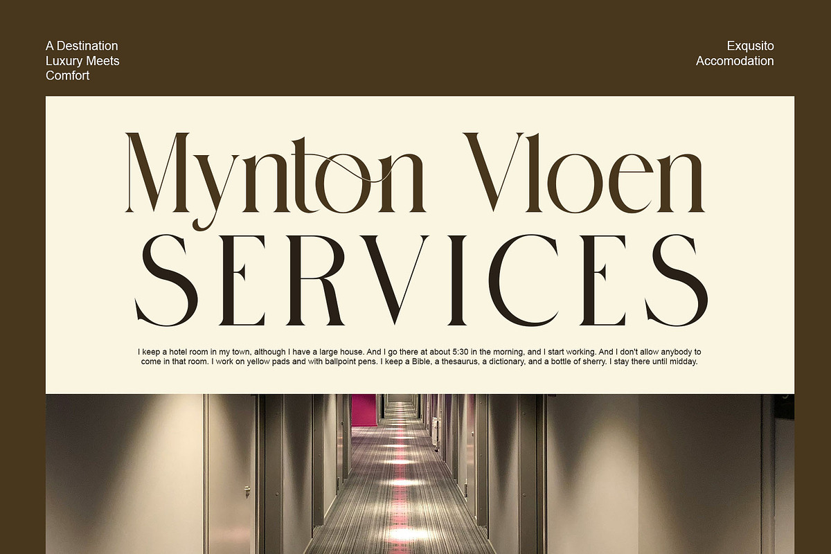 Dinamic Elegant Serif Typeface, a Serif Font by Alfinart (Photo 5 of 8)