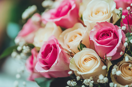 Closeup view of a beautiful bouquet, a Photo by Iftikhar Alam