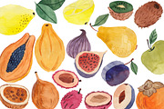 Watercolor fruit, an Illustration by risovanya (Thumbnail 2 of 4)