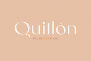 Swifted - Chic & Stylish Sans, a Sans Serif Font by Sarid Ezra (Thumbnail 5 of 10)