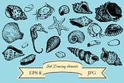 Seashells set, an Object Graphic by cat_arch_angel (Thumbnail 2 of 5)