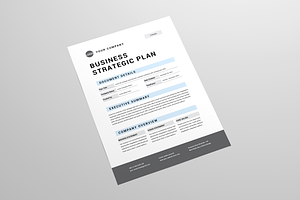 Business Strategic Plan