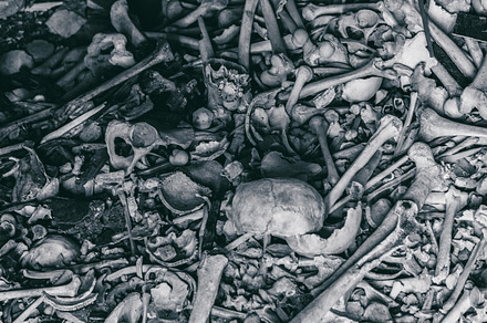 A lot of human bones