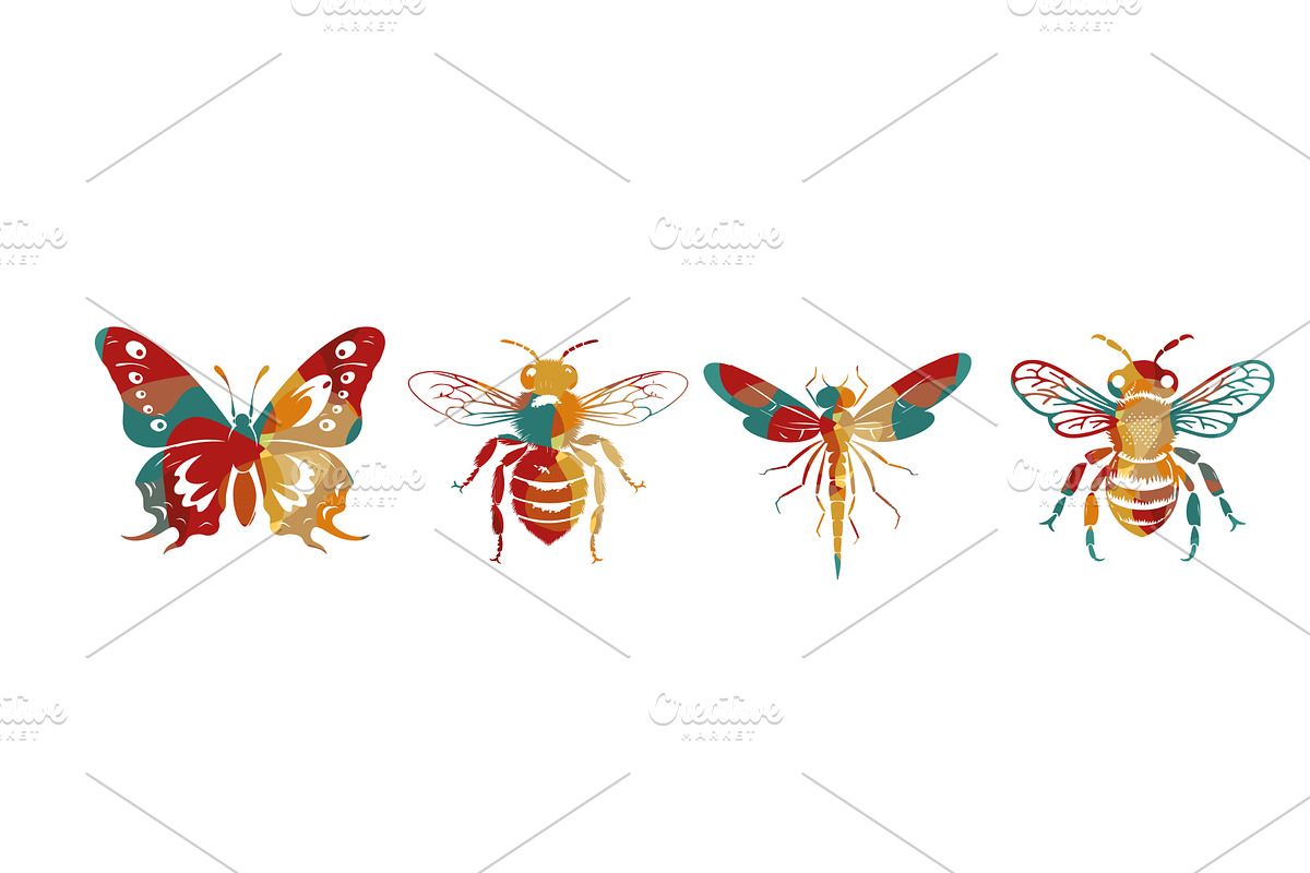 A set of different colored insects, an Animal Illustration by Nenahliadava Design