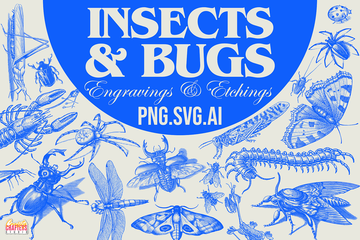 300+ Vintage Insects & Bugs Etchings, a Graphic by Craftsy Crafters (Photo 1 of 8)