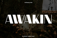 Awakin - Modern Serif