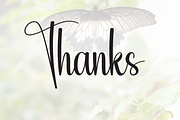 Butterfly | Script Font, a Handwritten Font by Scratchones (Thumbnail 9 of 9)
