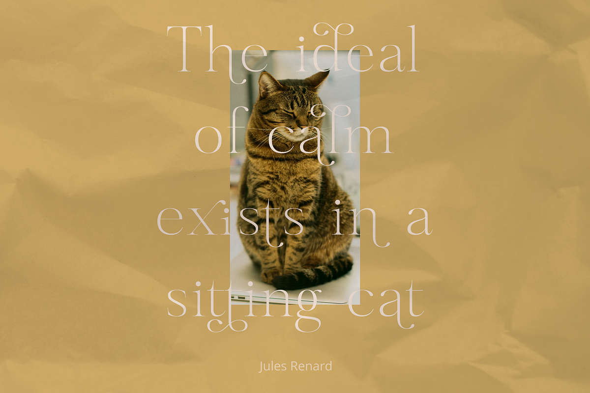 Gloriav, a Serif Font by Glyphofik x GudPap (Photo 2 of 9)