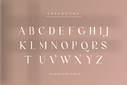 Vanger _ modern serif font, a Serif Font by Penatic Studio (Thumbnail 6 of 10)