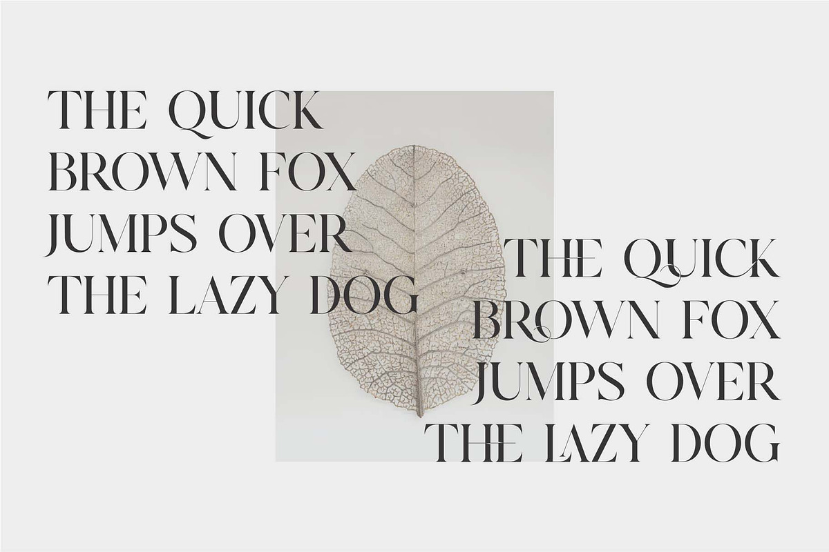 Cerost Modern Ligature Typeface, a Serif Font by Dylla_studio (Photo 12 of 14)