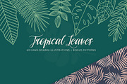 BOTANY BUNDLE - 6in1, a Food Illustration by amber&ink (Thumbnail 13 of 19)