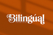 Bilingual Serif Font Duo, a Serif Font by Salt & Pepper Designs (Thumbnail 1 of 13)
