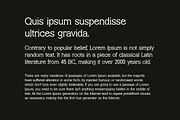 Corpheus Prime Style Font, a Serif Font by UICreative (Thumbnail 13 of 13)