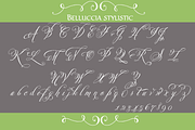 Belluccia Pro Font, a Script Font by Debi Sementelli (Thumbnail 4 of 5)