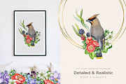 Garden Birds Watercolor Painted Set, an Animal Illustration by AnitaPol (Thumbnail 14 of 21)