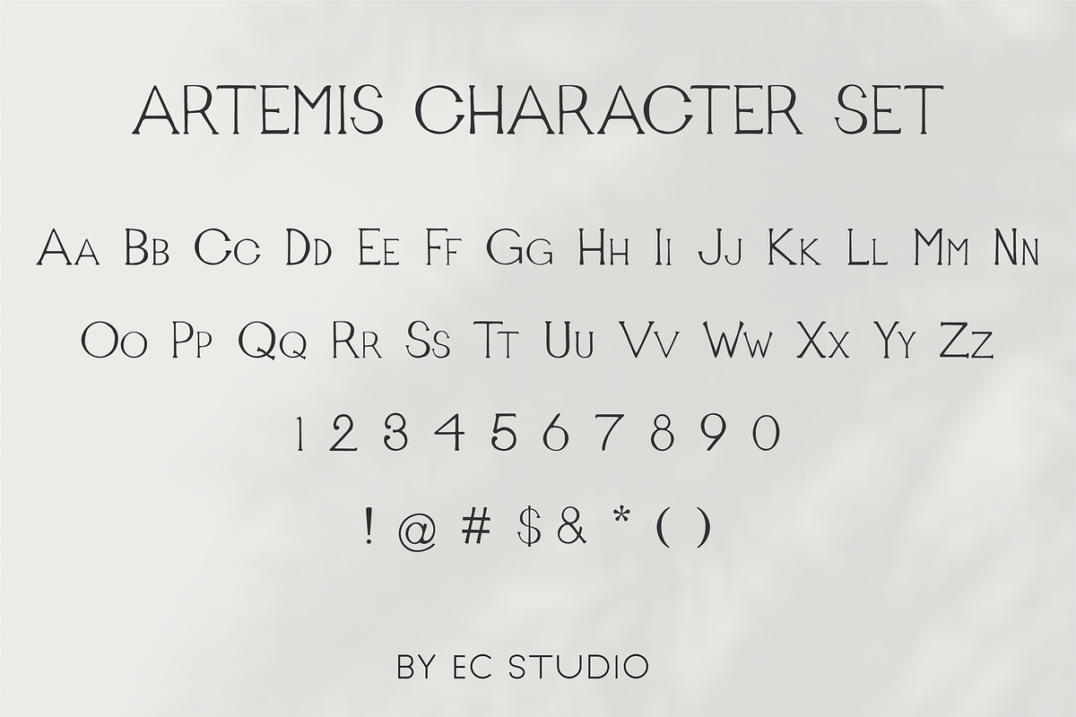 Artemis - Handwritten Serif, a Serif Font by Ellen Carty Design (Photo 5 of 11)