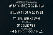Website, a Script Font by InermediaSTUDIO (Thumbnail 4 of 6)