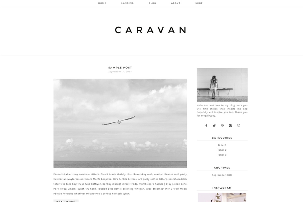 Responsive WP Theme - Caravan, a WordPress Template by Light Morango (Photo 2 of 4)