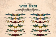 Wild Birds, an Animal Illustration by Ink Stories (Thumbnail 18 of 20)