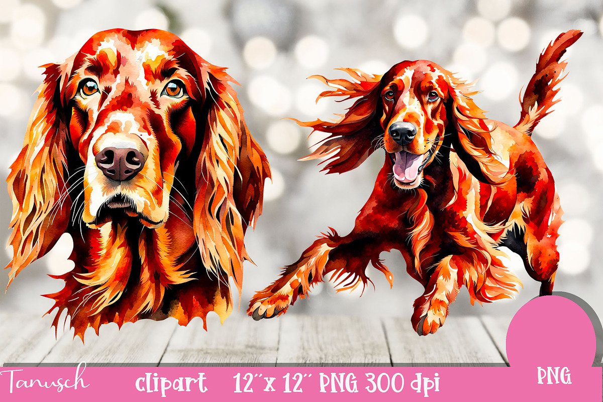 watercolor irish setter clipart PNG, an Animal Illustration by TanuschArts (Photo 4 of 5)