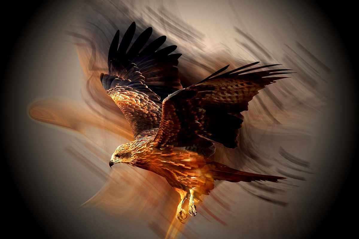 Long Exposure Effect Action, an Action Add-On by MRI STUDIO (Photo 8 of 15)