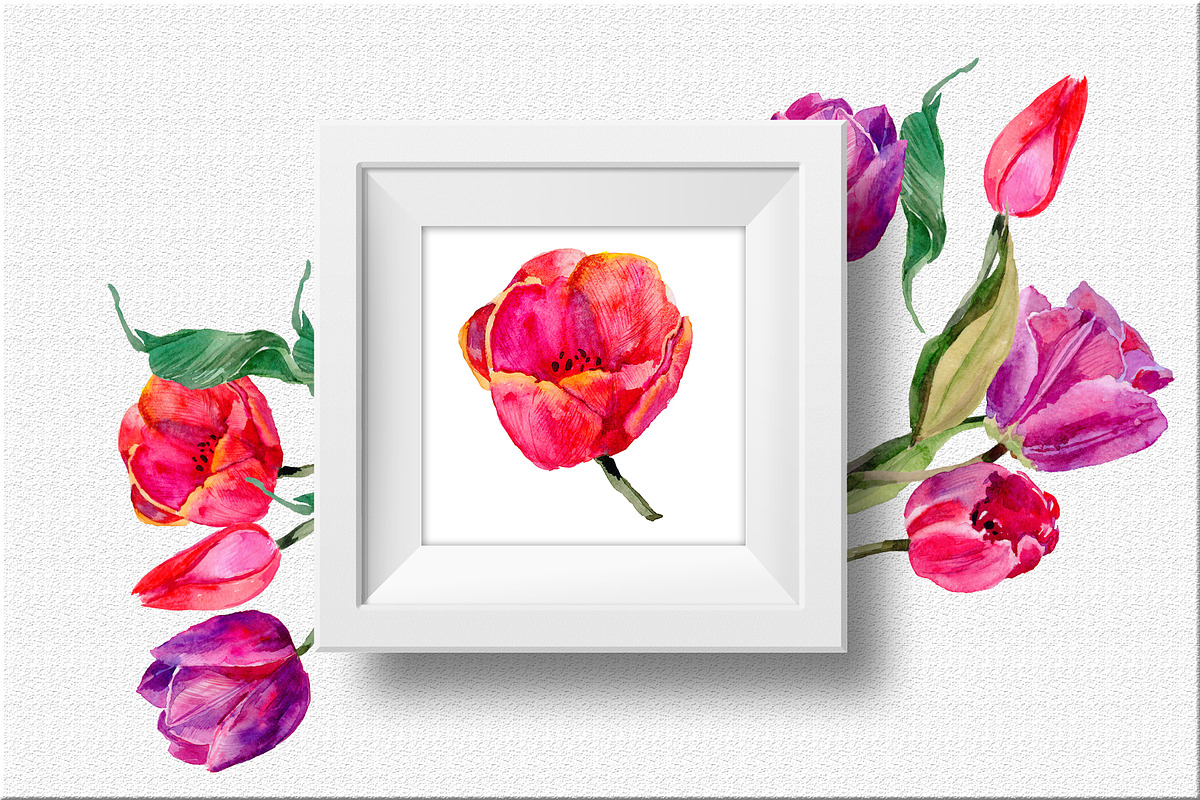 Tulips PNG watercolor flower set, a Seasonal Illustration by WatercolorPNG.com (Photo 6 of 7)